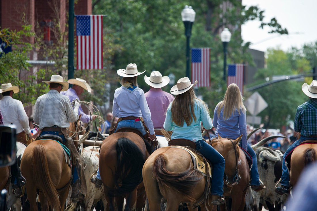 cattle-drive-4_orig cattle drive