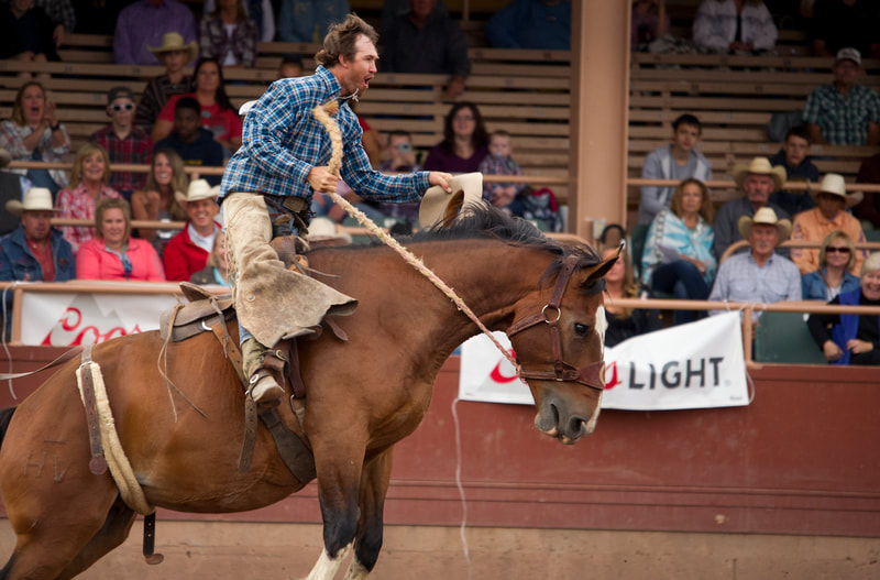 cowboy on a bronc at the Ride for the Brand Ranch Rodeo cowboy on a bronc at the Ride for the Brand Ranch Rodeo