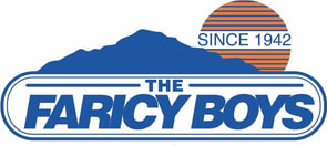 Faricy Boys logo