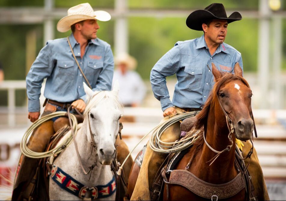 team sorting at the ride for the brand ranch rodeo team sorting at the ride for the brand ranch rodeo