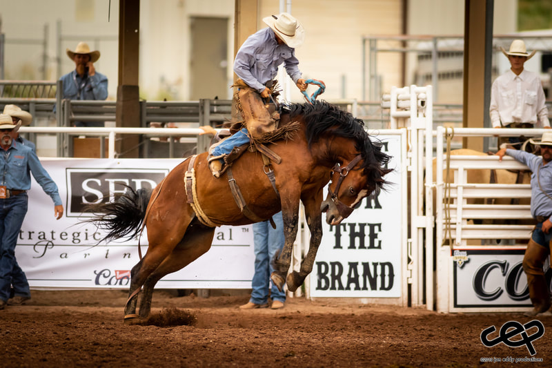 Ride For the Brand Ranch Rodeo in Colorado Springs Ride For the Brand Ranch Rodeo in Colorado Springs