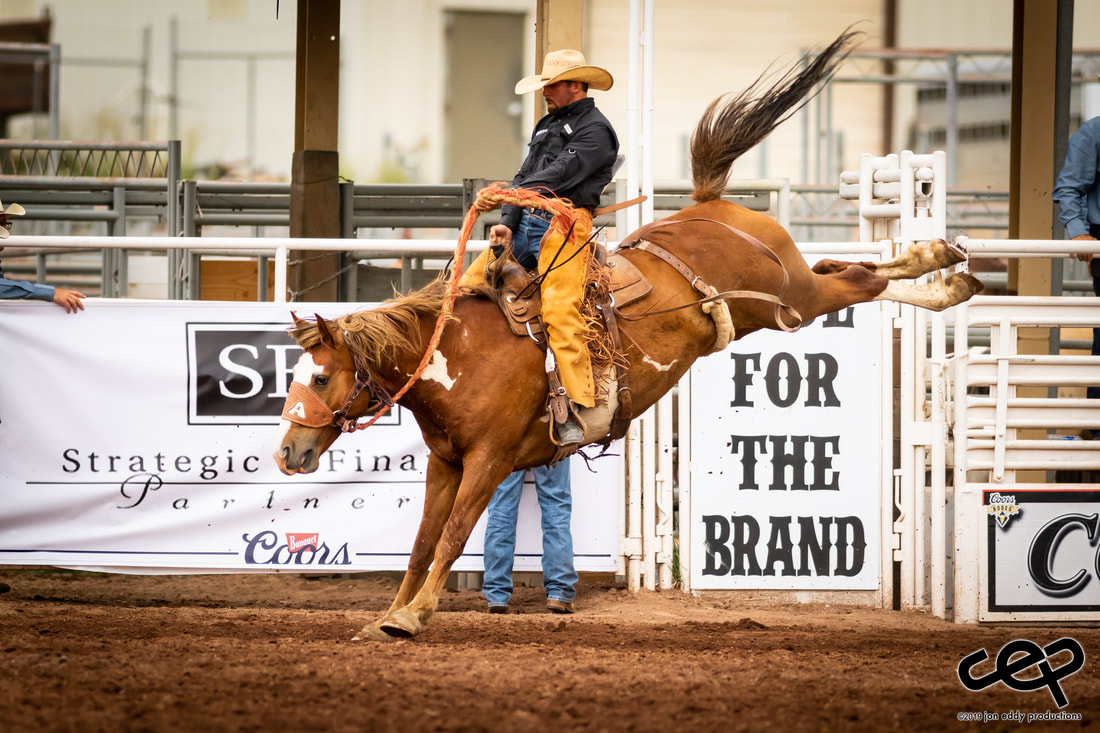 bronc riding bronc riding